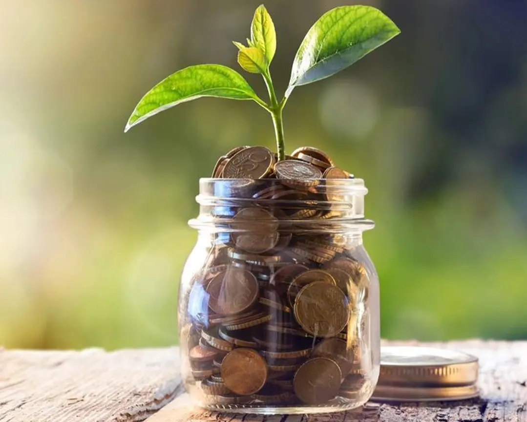 A jar filled with coins and a plant growing from it.